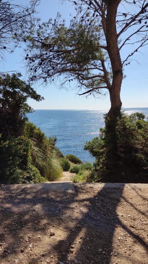 Cap Au Soleil Pour Cet Appartement Avec Piscine Saint-Mandrier-sur-Mer Exterior foto